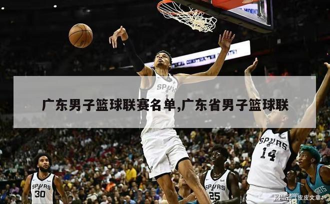 广东男子篮球联赛名单,广东省男子篮球联
